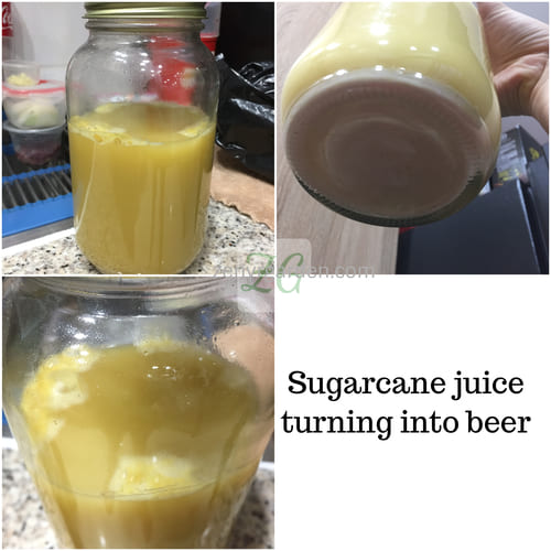 How To Make Alcohol Out Of Sugarcane